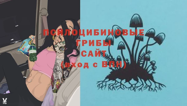 прущая мука Алзамай